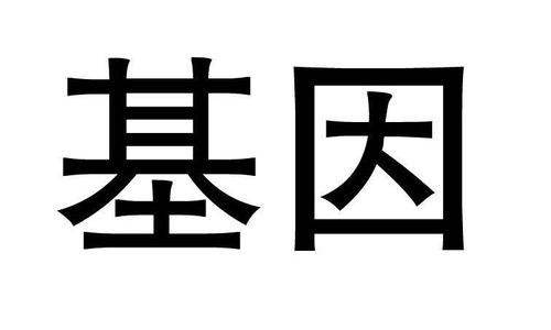 基因盒子商标注册查询、进度与成功率评估全攻略 路标网的专业辅助